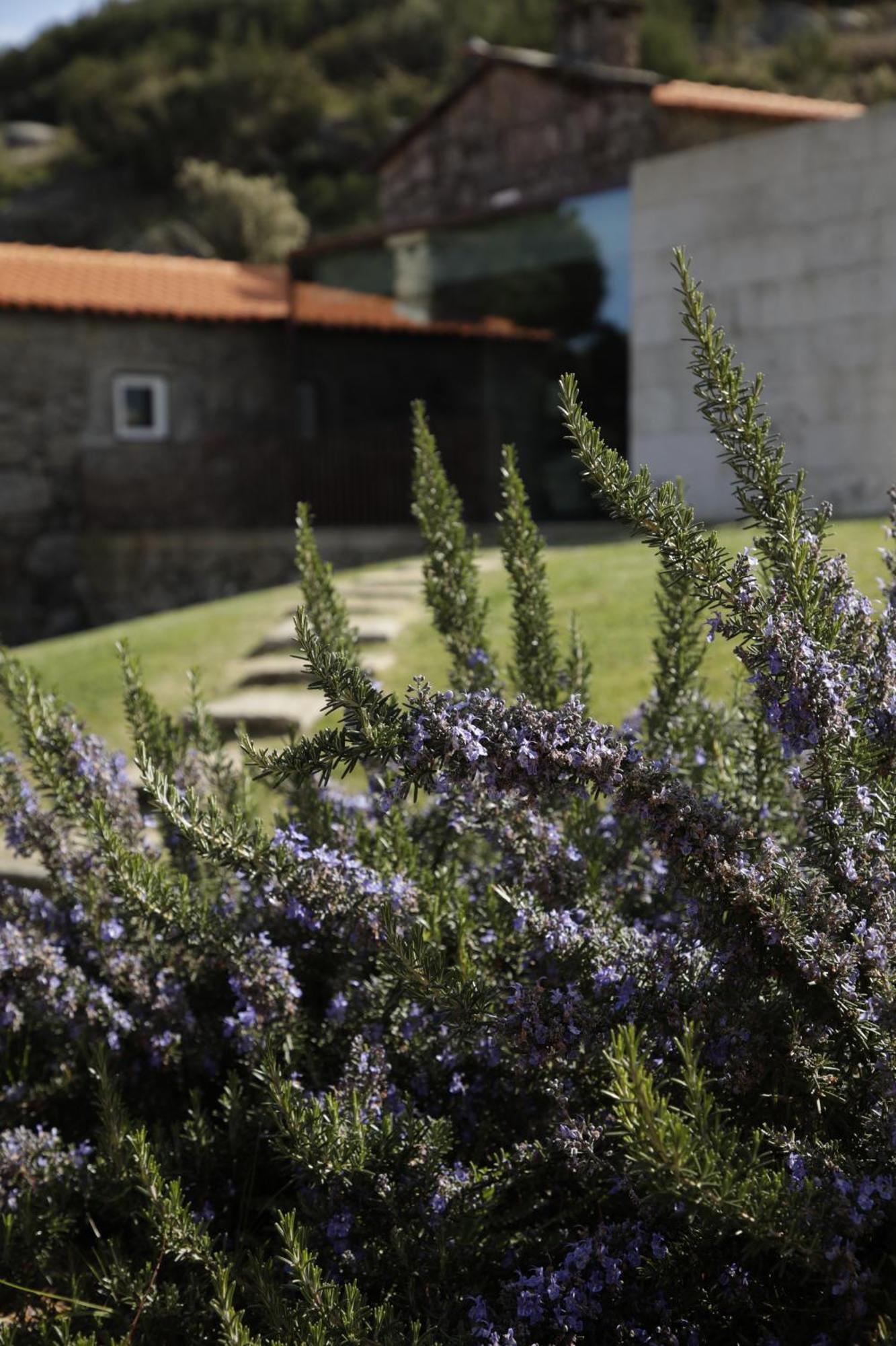 Geres - Leiras Do Tempo - Cottages Brufe Екстериор снимка